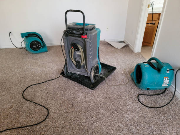 Best Flood damage cleanup  in Camden, AL