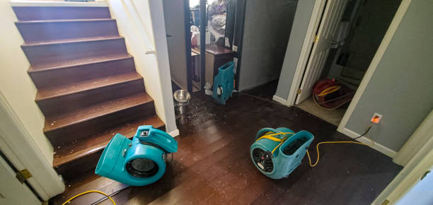 Best Water damage restoration process  in Camden, AL