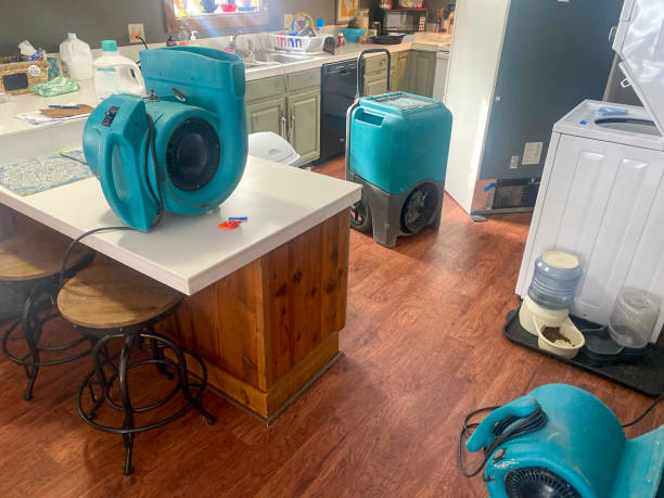 Best Water damage cleanup near me  in Camden, AL