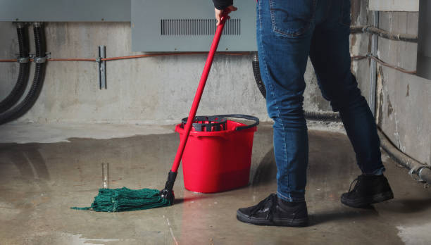Best Emergency water damage restoration  in Camden, AL