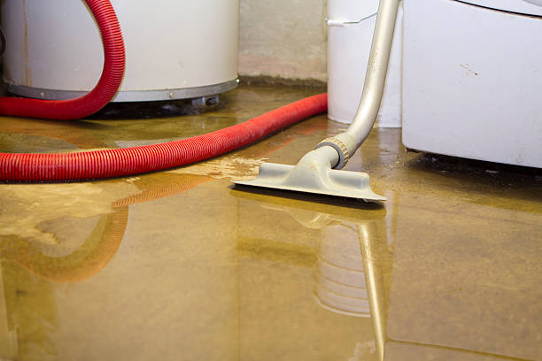 Best Ceiling water damage repair  in Camden, AL