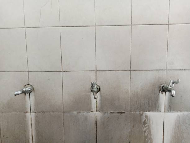 Best Water damage restoration insurance claims  in Camden, AL