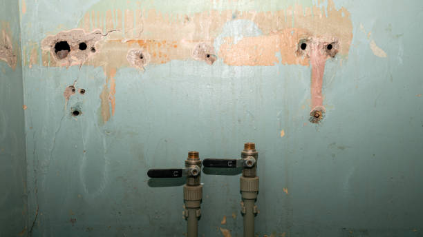 Best Mold removal after water damage  in Camden, AL