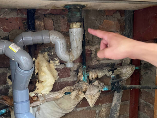 Best 24/7 water damage repair  in Camden, AL