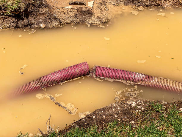 Best Sewage cleanup and water damage restoration  in Camden, AL