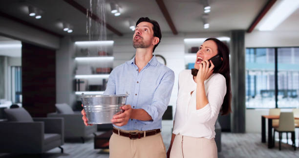 Best Carpet water damage restoration  in Camden, AL